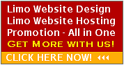 Detroit Limo Website Design.